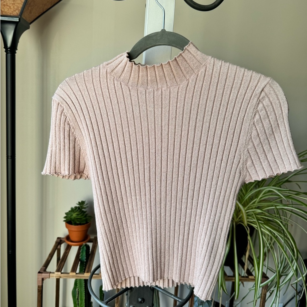 Forever 21 Ribbed Sparkly Crop Top